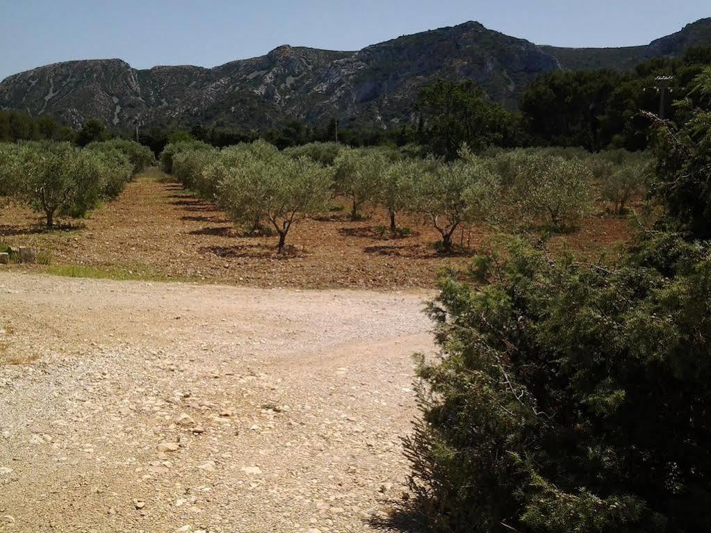 Le Mas Des Genets Saint-Rémy-de-Provence Esterno foto